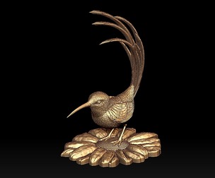 colibri humming bird