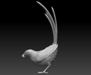 MAGPIE BIRD
