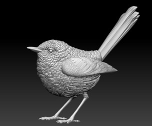 WREN bird