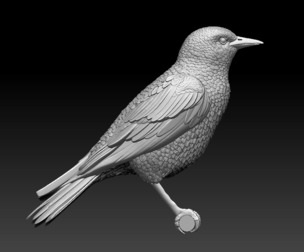STARLING BIRD