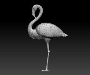 flamingo BIRD