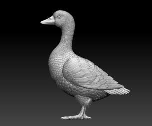 goose bird