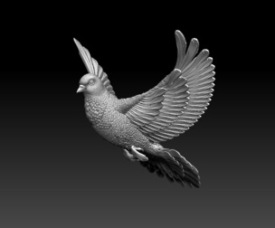 dove PIGEON bird
