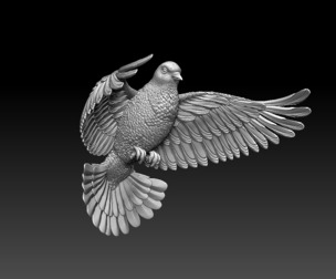 dove PIGEON bird
