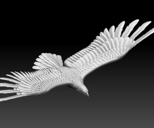 eagle bird