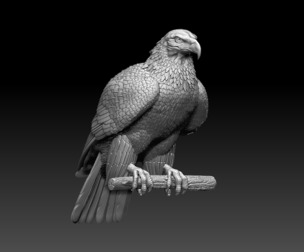 eagle bird