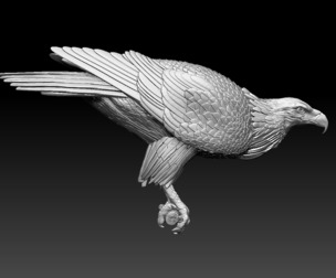 eagle bird