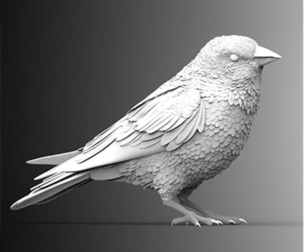 bird