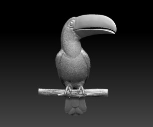 tucan bird
