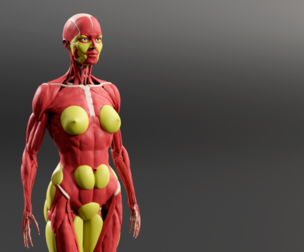 Human Female Ecorshe