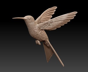 colibri humming bird