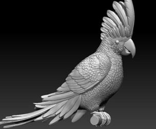 parrot bird