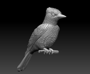 jay bird