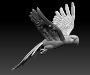 parrot bird