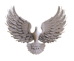 dove PIGEON bird