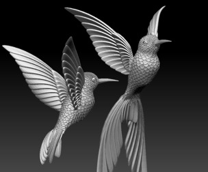 colibri humming bird