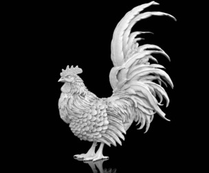 rooster bird