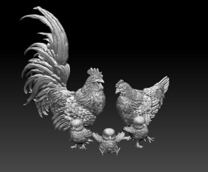 chicken rooster chick bird