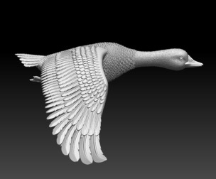 goose duck bird