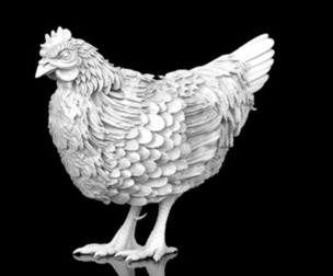 hen bird
