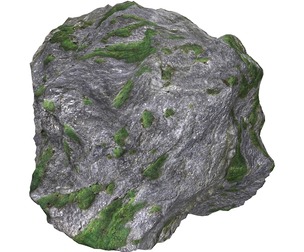 Ground Rock 04