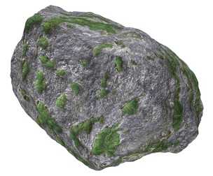 Ground Rock 08