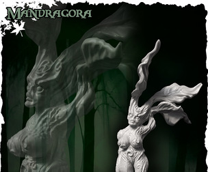 The Green Witch`s Glade - Mandragora