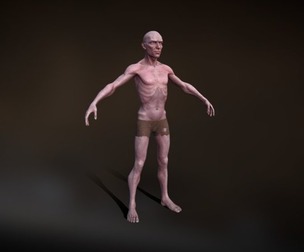 Stylized SlaveMan Anatomy Game
