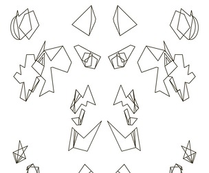Random Geometry