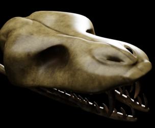 SNEAK SKULL Low-poly 3D model