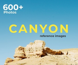 600+ Canyon - Reference Pictures