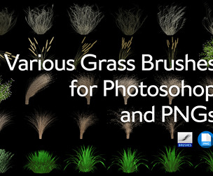 Various Grass Brushes for PS and PNGs
