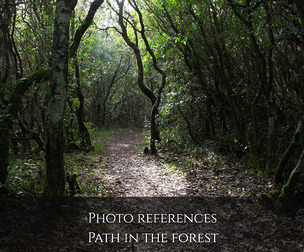Photo reference Landscapes: Path in the forest