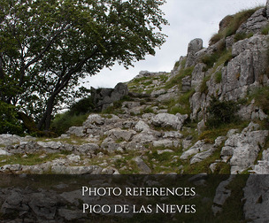 Photo reference Landscapes: Pico de las Nieves