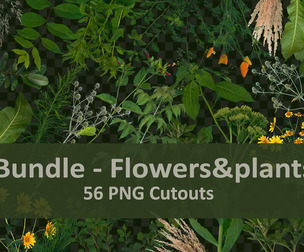 PNG Photo Pack: Flowers and plants