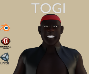 TOGI RIG BLENDER VERSION