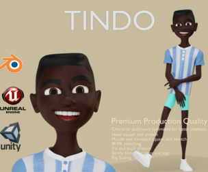 TINDO RIG BLENDER VERSION