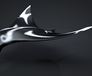 Manta Ray
