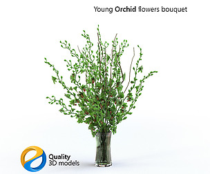 Young Orchid flowers bouquet