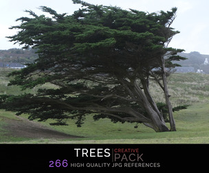 Trees