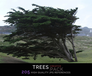 Trees
