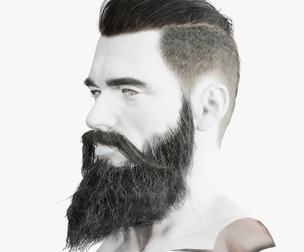 Realistic Hair Beard brows mustache p3 Low