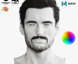 Realistic Hair Beard brows mustache p1