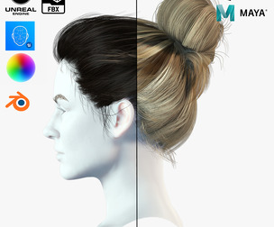 Realistic Female hair 8
