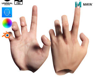 Realistic Hand VR Low-poly