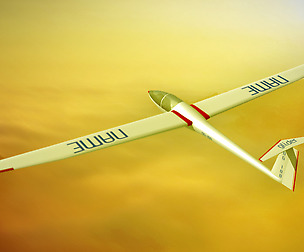 Glider Sailplane Glaser DG-100 low poly