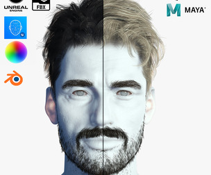 Realistic Hair Beard brows mustache