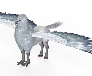 Fantasy Hippogriff