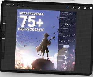 Birds Brush Set for Procreate