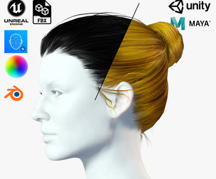 Free Realistic Female hair